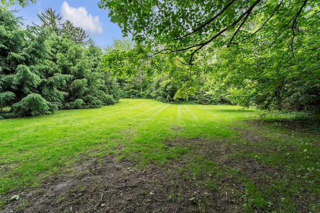 2486 Whitmore Lake Rd, Ann Arbor, MI 48105 - view of grassy yard