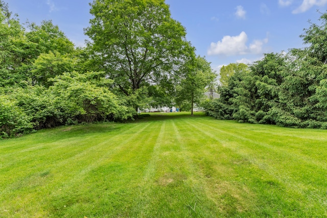 2486 Whitmore Lake Rd, Ann Arbor, MI 48105 - view of grassy yard