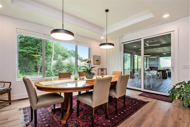 6348 Lamppost Cir SE, Grand Rapids, MI 49546 - dining area featuring wood finished floors, a tray ceiling, recessed lighting, and baseboards