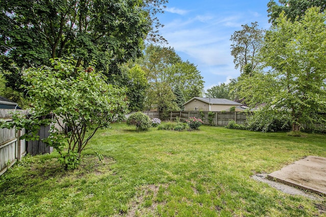 10933 Portage Rd, Portage, MI 49002 - view of yard