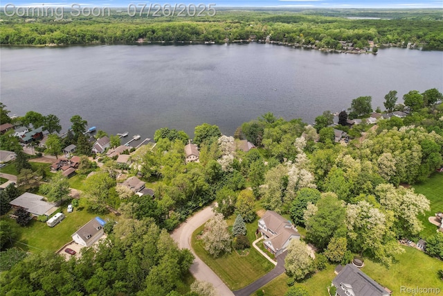 13698 Webbs Shore Dr, Gregory, MI 48137 - photo 25