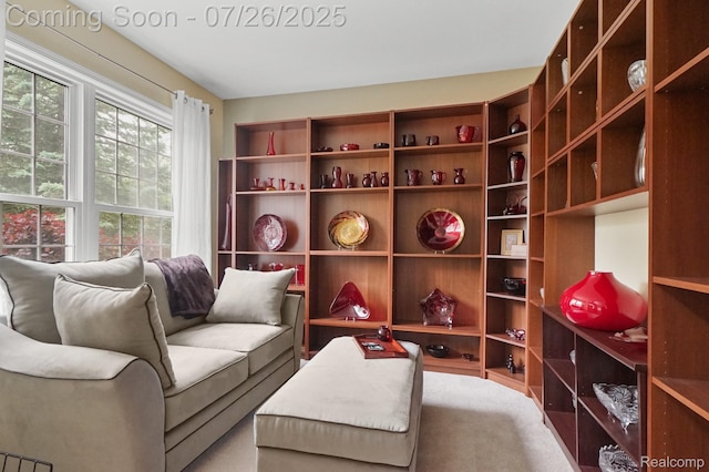 13698 Webbs Shore Dr, Gregory, MI 48137 - photo 28