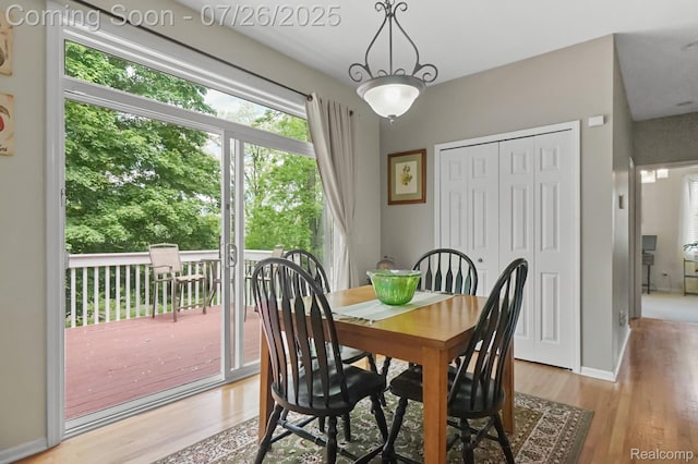 13698 Webbs Shore Dr, Gregory, MI 48137 - photo 36