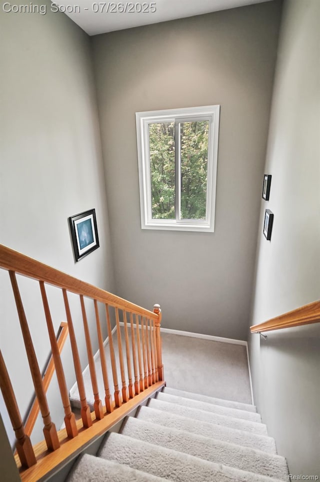 13698 Webbs Shore Dr, Gregory, MI 48137 - photo 44