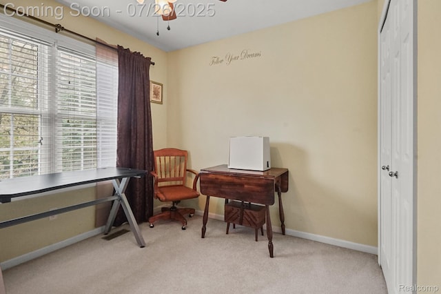 13698 Webbs Shore Dr, Gregory, MI 48137 - photo 52