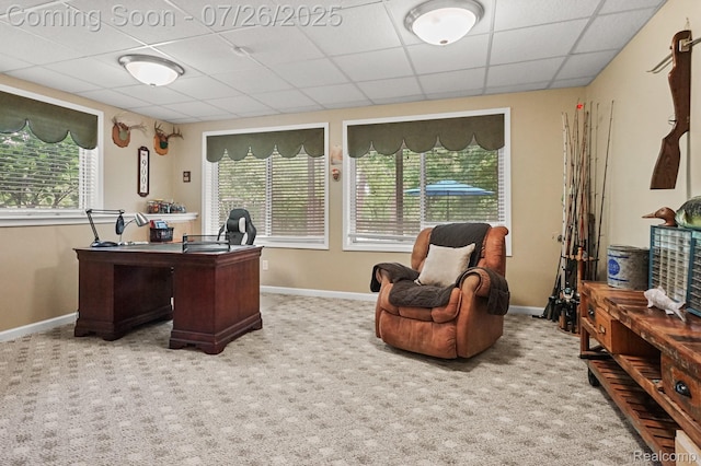 13698 Webbs Shore Dr, Gregory, MI 48137 - photo 59