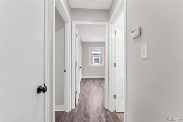 16355 Windermere Cir, Romulus, MI 48195 - hall featuring dark wood finished floors and baseboards