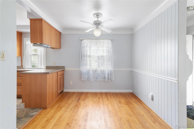 630 Symes Ave, Royal Oak, MI 48067 - kitchen featuring a ceiling fan, light wood-style flooring, and brown cabinets