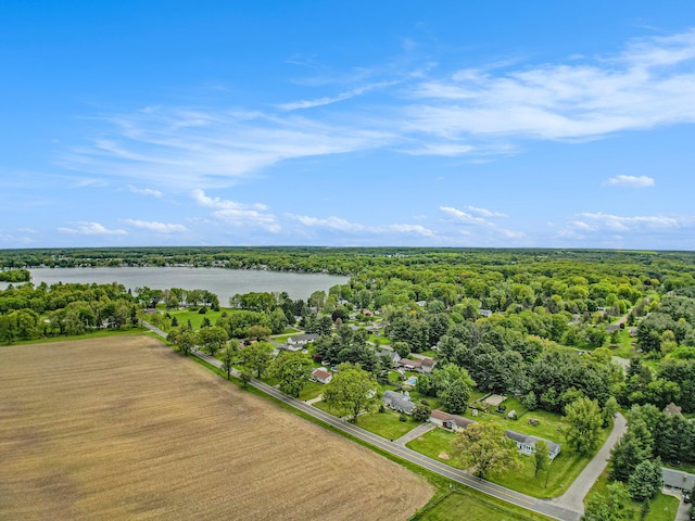 617 Ramsey Ln, Pleasant Lake, MI 49272 - aerial view of property and surrounding area featuring a large body of water and a heavily wooded area
