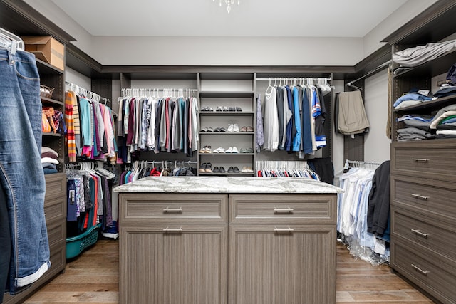 4034 Glacier Lake Ct, Dexter, MI 48130 - walk in closet with wood finished floors