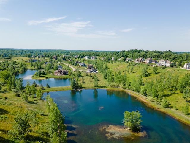 4034 Glacier Lake Ct, Dexter, MI 48130 - bird's eye view of a nearby body of water