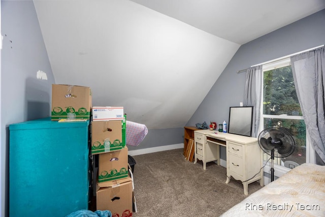 717 Pleasant St, Belding, MI 48809 - photo 15