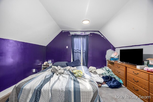 717 Pleasant St, Belding, MI 48809 - photo 17