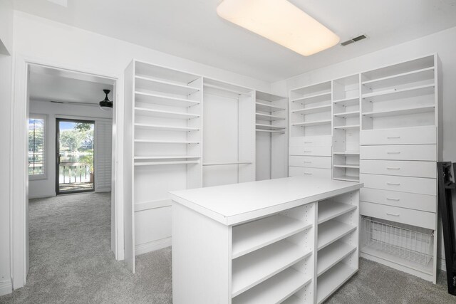 70847 Claire Dr, Union, MI 49130 - walk in closet with light colored carpet