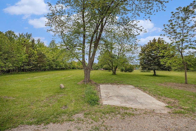 12856 Flynn Rd, Sawyer, MI 49125 - photo 25