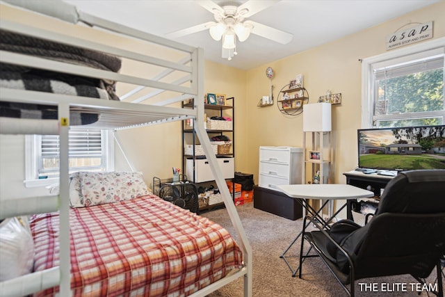 4542 Pinehurst Ave SW, Grand Rapids, MI 49548 - view of carpeted bedroom