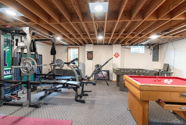 3677 W White Trillium Dr, Saginaw, MI 48603 - exercise area with electric panel and carpet floors
