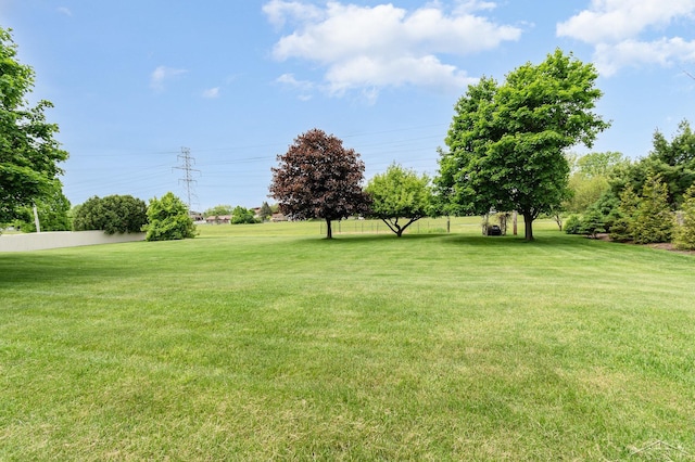 3677 W White Trillium Dr, Saginaw, MI 48603 - view of grassy yard