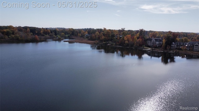 2717 Turtle Shores Dr, Bloomfield Hills, MI 48302 - water view featuring a forest