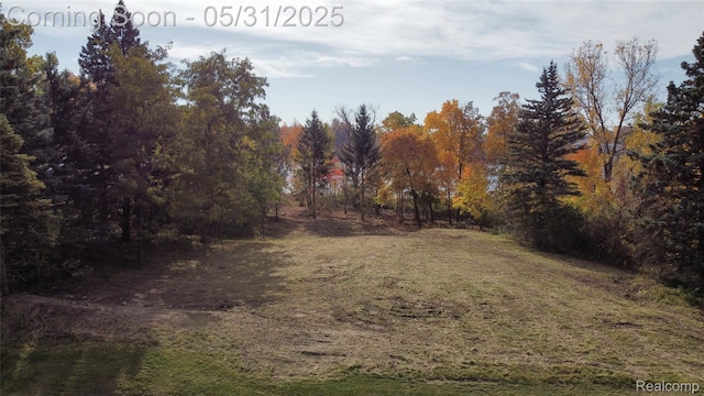2717 Turtle Shores Dr, Bloomfield Hills, MI 48302 - view of yard with a forest view