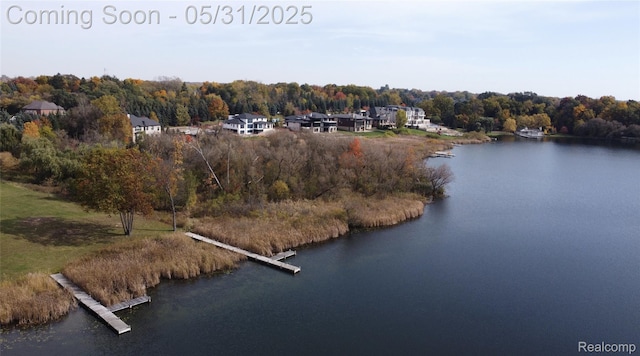 2717 Turtle Shores Dr, Bloomfield Hills, MI 48302 - bird's eye view of a large body of water and a heavily wooded area