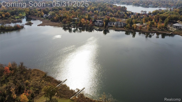 2717 Turtle Shores Dr, Bloomfield Hills, MI 48302 - water view