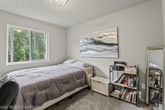 342 Lotz Ct, Wayland, MI 49348 - bedroom with carpet flooring