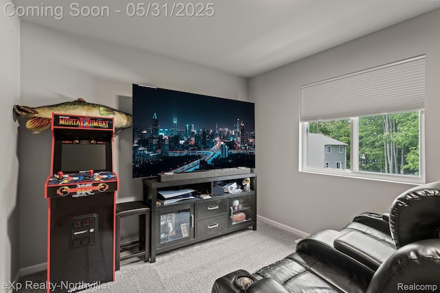 342 Lotz Ct, Wayland, MI 49348 - living room with carpet and baseboards