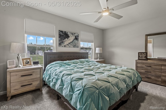 342 Lotz Ct, Wayland, MI 49348 - bedroom with dark carpet, multiple windows, and a ceiling fan
