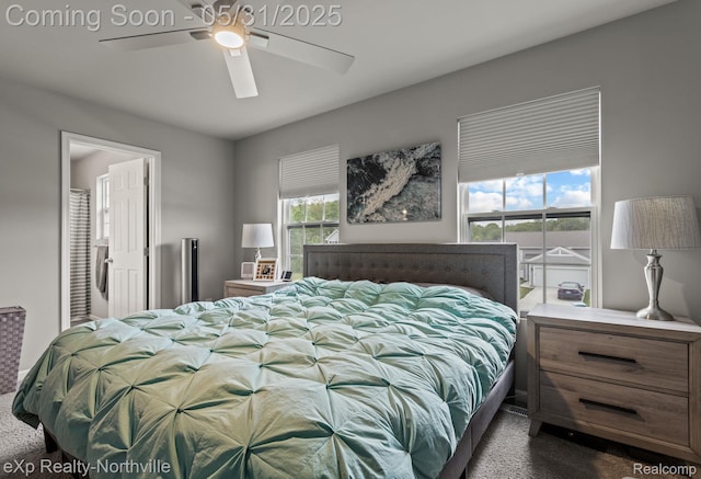 342 Lotz Ct, Wayland, MI 49348 - bedroom with dark carpet and ceiling fan