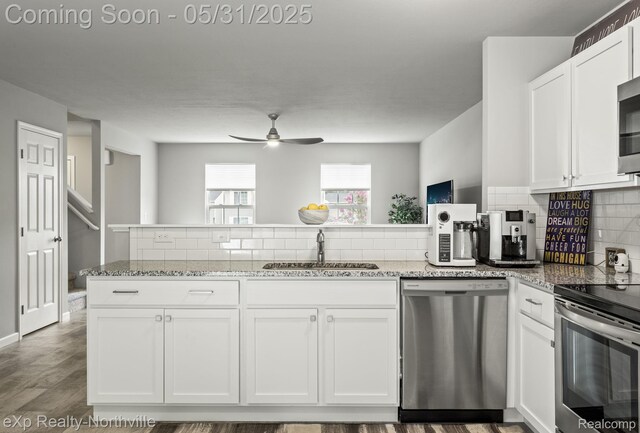 342 Lotz Ct, Wayland, MI 49348 - kitchen with stainless steel appliances, a sink, ceiling fan, decorative backsplash, and white cabinetry
