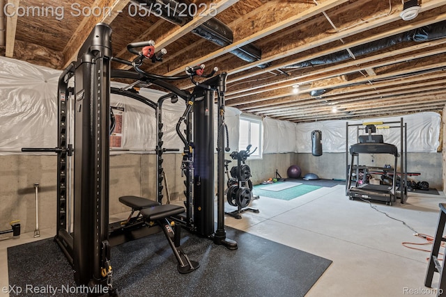 342 Lotz Ct, Wayland, MI 49348 - view of exercise area