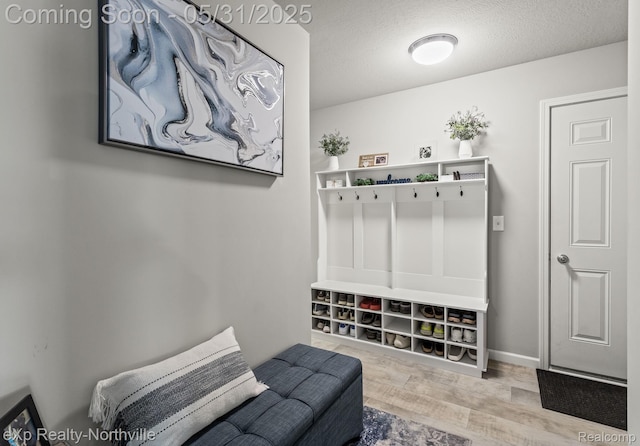 342 Lotz Ct, Wayland, MI 49348 - mudroom featuring wood finished floors, a textured ceiling, and baseboards