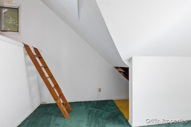 331 Carlton Ave SE, Grand Rapids, MI 49506 - additional living space with carpet and lofted ceiling