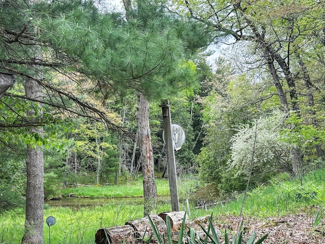 4307 N Mac Rd, Irons, MI 49644 - view of yard with a view of trees