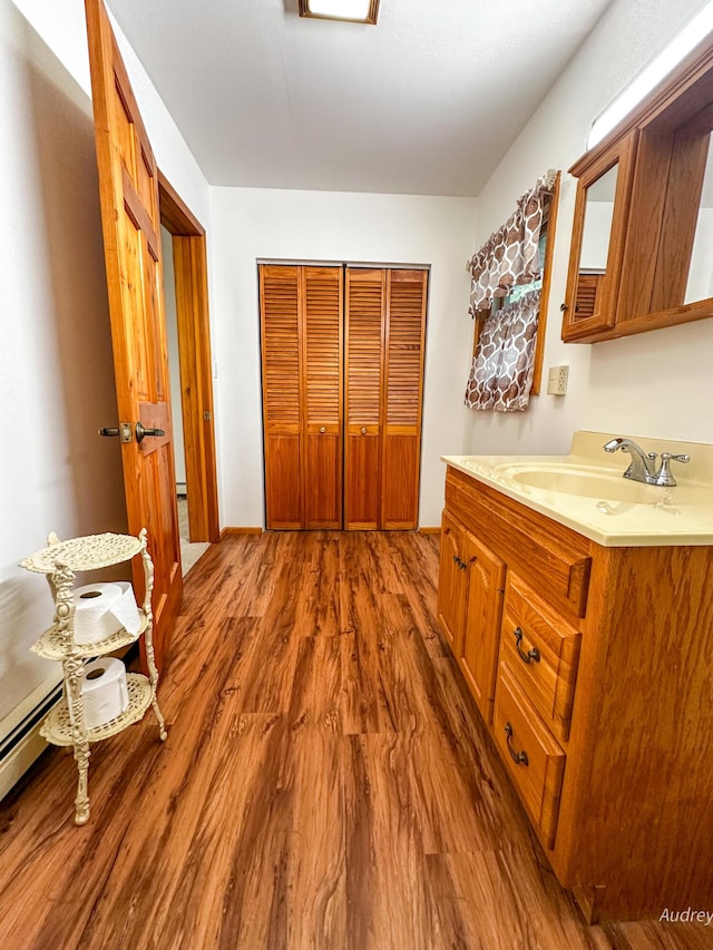4307 N Mac Rd, Irons, MI 49644 - bathroom featuring vanity and wood finished floors