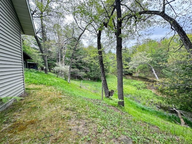 4307 N Mac Rd, Irons, MI 49644 - view of yard