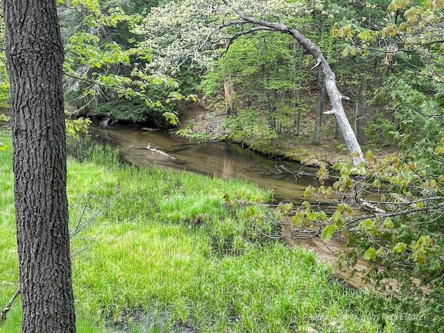 4307 N Mac Rd, Irons, MI 49644 - view of undeveloped land