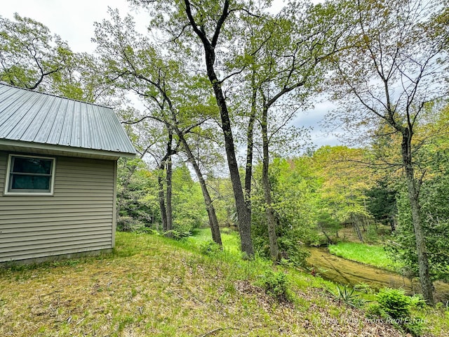 4307 N Mac Rd, Irons, MI 49644 - view of yard