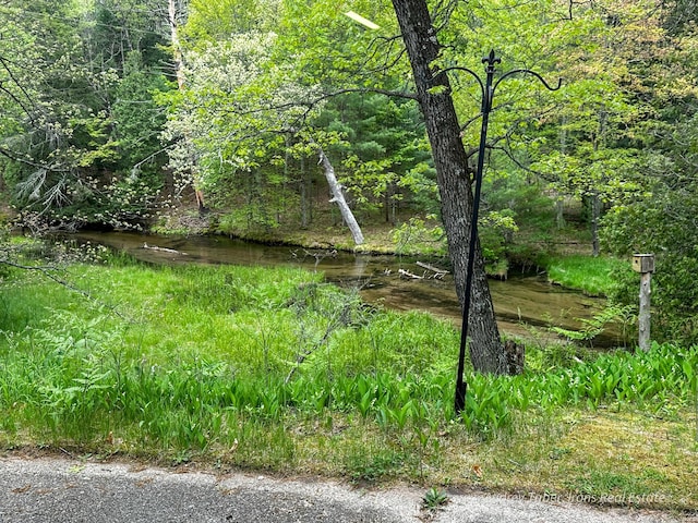 4307 N Mac Rd, Irons, MI 49644 - view of wooded area