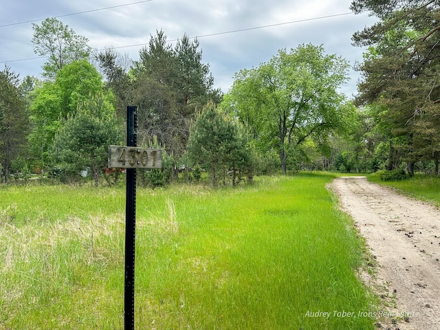 4307 N Mac Rd, Irons, MI 49644 - view of dirt / gravel road featuring a forest view
