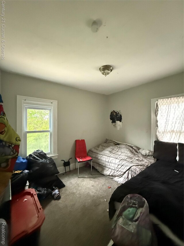 11647 Cascade St, Detroit, MI 48204 - photo 28