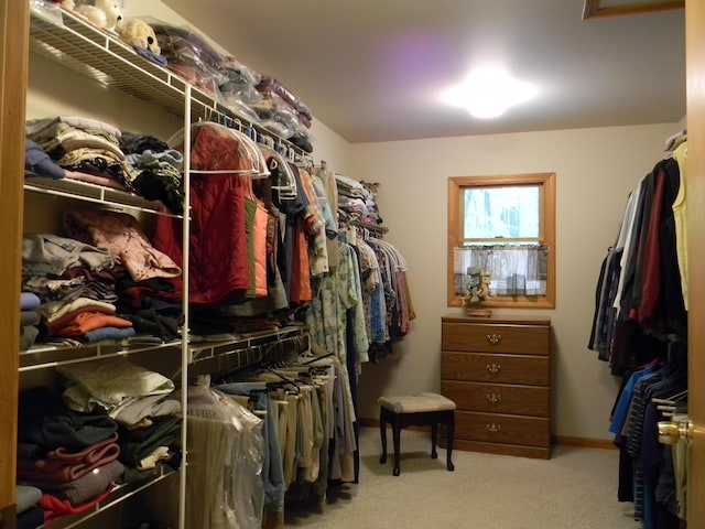 6647 W Jackson Rd, Ludington, MI 49431 - walk in closet featuring carpet flooring
