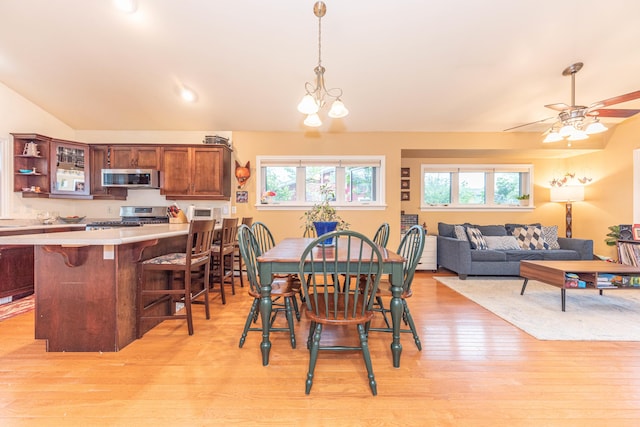 500 Little Lake Dr # 1, Ann Arbor, MI 48103 - dining room featuring light wood-style floors, plenty of natural light, lofted ceiling, and a ceiling fan