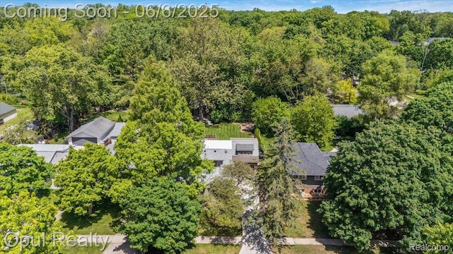 716 Magnolia Ave, Royal Oak, MI 48073 - bird's eye view of a forest