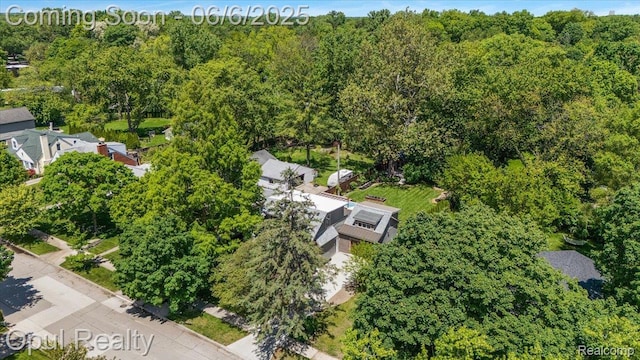 716 Magnolia Ave, Royal Oak, MI 48073 - aerial view of a forest
