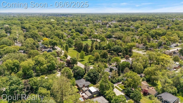 716 Magnolia Ave, Royal Oak, MI 48073 - aerial view of a forest