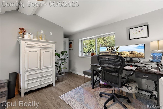 716 Magnolia Ave, Royal Oak, MI 48073 - office featuring wood finished floors, lofted ceiling, and baseboards