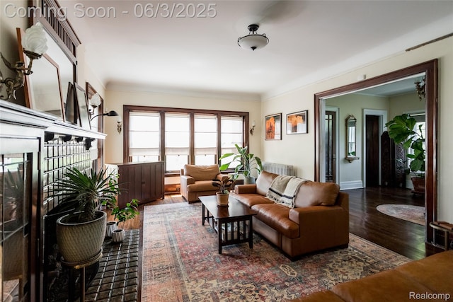 22 Edison St, Detroit, MI 48202 - living area with radiator, wood finished floors, crown molding, and baseboards