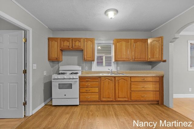 853 California St NW, Grand Rapids, MI 49504 - kitchen with white range with gas cooktop, a sink, arched walkways, light wood-style flooring, and light countertops